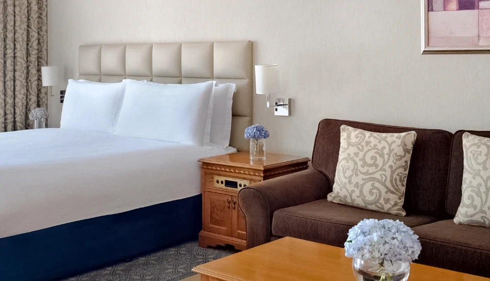 هتل میلنیوم پلازا داون تاون دبی